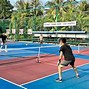 Kích Thước Sân Pickleball Mini