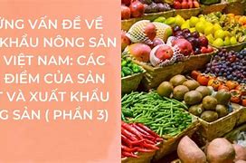 Những Loại Nông Sản Xuất Khẩu Tại Việt Nam Là Gì Cho Ví Dụ Minh Họa