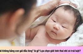 Trâu Nái Không Bằng Con Gái Đầu Lòng Là Gì