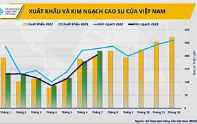 Xuất Khẩu Cao Su Tháng 10 Năm 2023